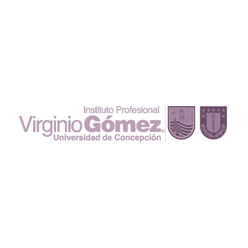 Virginio gomez logo